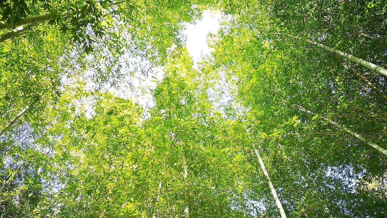 ホテル Yugashima Tatsuta 伊豆市 エクステリア 写真